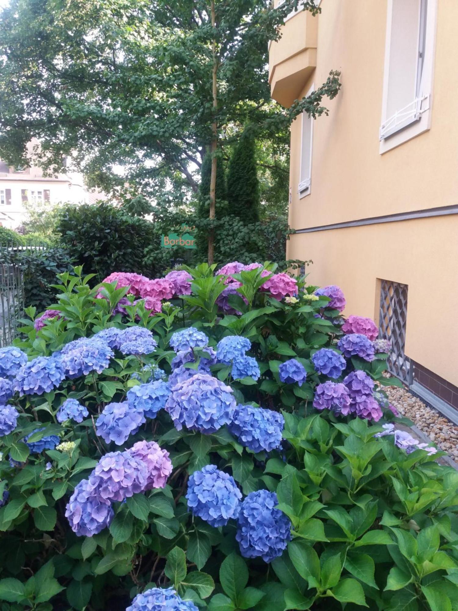 Apartment Barbara Mariánské Lázně المظهر الخارجي الصورة